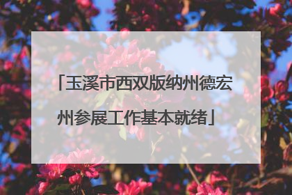玉溪市西双版纳州德宏州参展工作基本就绪