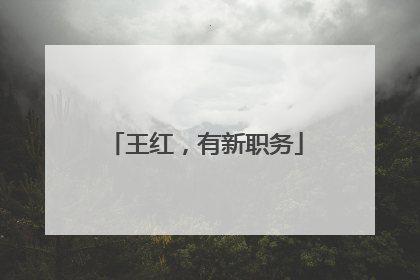 王红，有新职务