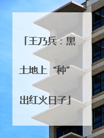 王乃兵：黑土地上“种”出红火日子