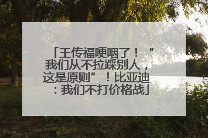 王传福哽咽了！“我们从不拉踩别人，这是原则”！比亚迪：我们不打价格战