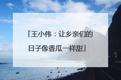 王小伟：让乡亲们的日子像香瓜一样甜