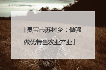 灵宝市苏村乡：做强做优特色农业产业