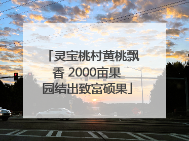 灵宝桃村黄桃飘香 2000亩果园结出致富硕果