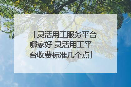 灵活用工服务平台哪家好 灵活用工平台收费标准几个点