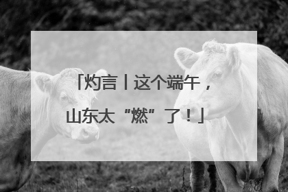灼言丨这个端午，山东太“燃”了！