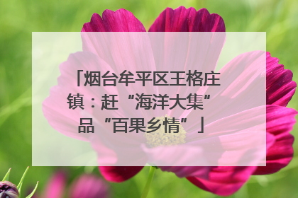 烟台牟平区王格庄镇：赶“海洋大集” 品“百果乡情”