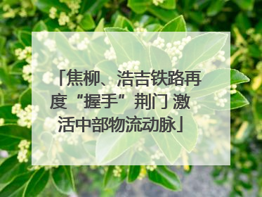 焦柳、浩吉铁路再度“握手”荆门 激活中部物流动脉