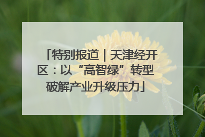 特别报道｜天津经开区：以“高智绿”转型破解产业升级压力