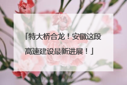 特大桥合龙！安徽这段高速建设最新进展！