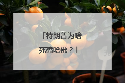 特朗普为啥死磕哈佛？