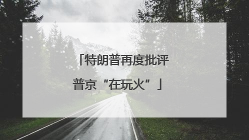 特朗普再度批评普京“在玩火”