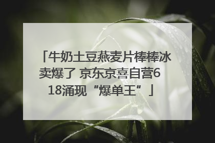 牛奶土豆燕麦片棒棒冰卖爆了 京东京喜自营618涌现“爆单王”