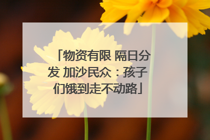 物资有限 隔日分发 加沙民众：孩子们饿到走不动路