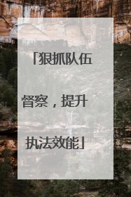 狠抓队伍督察，提升执法效能