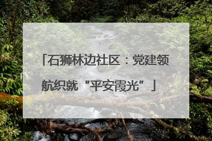 石狮林边社区：党建领航织就“平安霞光”