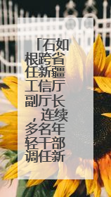 石如根跨省任新疆工信厅副厅长，连续多名年轻干部调任新疆