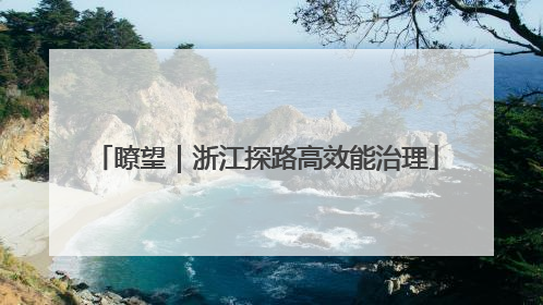 瞭望｜浙江探路高效能治理