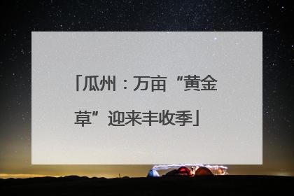 瓜州：万亩“黄金草”迎来丰收季