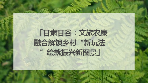 甘肃甘谷：文旅农康融合解锁乡村“新玩法”绘就振兴新图景