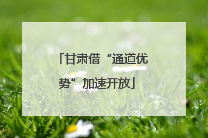 甘肃借“通道优势”加速开放