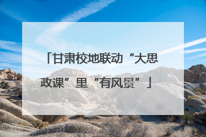 甘肃校地联动“大思政课”里“有风景”