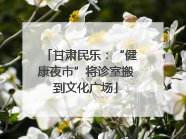 甘肃民乐：“健康夜市”将诊室搬到文化广场