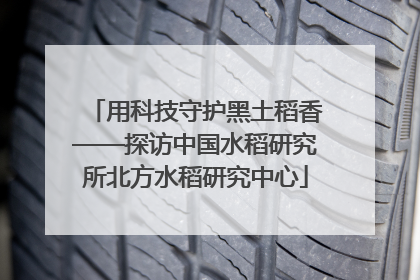 用科技守护黑土稻香——探访中国水稻研究所北方水稻研究中心
