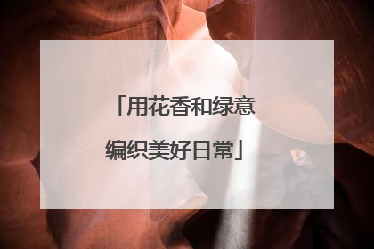 用花香和绿意编织美好日常