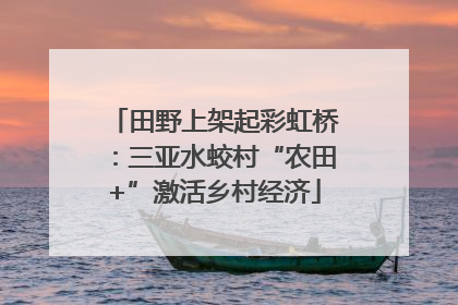 田野上架起彩虹桥：三亚水蛟村“农田+”激活乡村经济