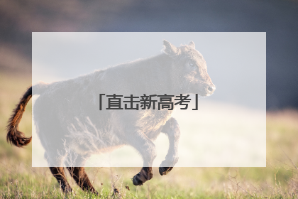 直击新高考