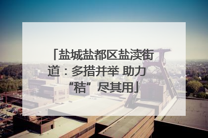 盐城盐都区盐渎街道：多措并举 助力“秸”尽其用