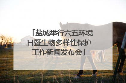 盐城举行六五环境日暨生物多样性保护工作新闻发布会