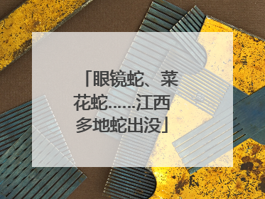 眼镜蛇、菜花蛇……江西多地蛇出没