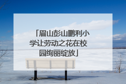 眉山彭山鹏利小学让劳动之花在校园绚丽绽放