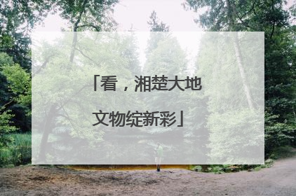 看，湘楚大地文物绽新彩