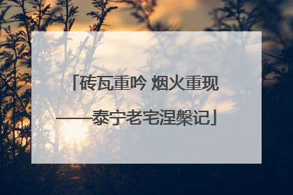 砖瓦重吟 烟火重现——泰宁老宅涅槃记