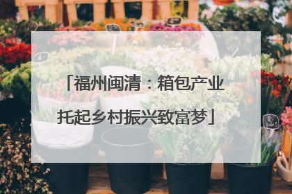福州闽清：箱包产业托起乡村振兴致富梦