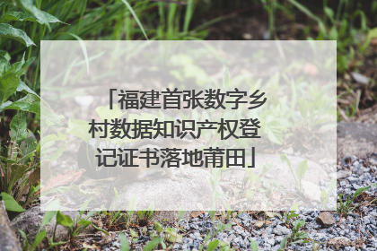 福建首张数字乡村数据知识产权登记证书落地莆田