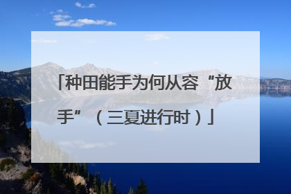 种田能手为何从容“放手”（三夏进行时）