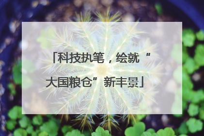 科技执笔，绘就“大国粮仓”新丰景