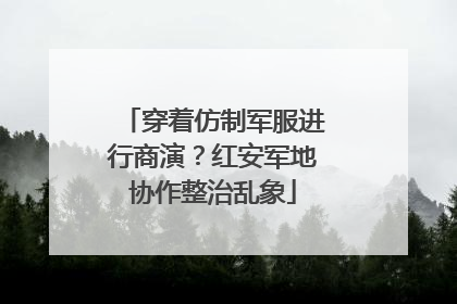 穿着仿制军服进行商演？红安军地协作整治乱象