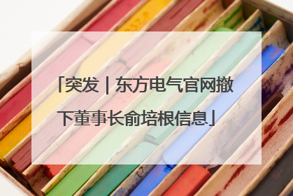 突发｜东方电气官网撤下董事长俞培根信息