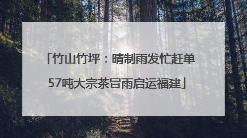 竹山竹坪：晴制雨发忙赶单 57吨大宗茶冒雨启运福建