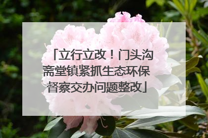 立行立改！门头沟斋堂镇紧抓生态环保督察交办问题整改