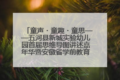 童声・童趣・童思——五河县新城实验幼儿园首届思维导图讲述嘉年华暨安徽省学前教育教研基地园项目阶段性成果展示活动