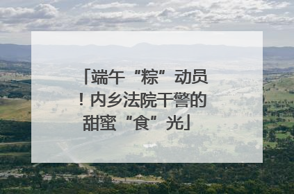 端午“粽”动员！内乡法院干警的甜蜜“食”光