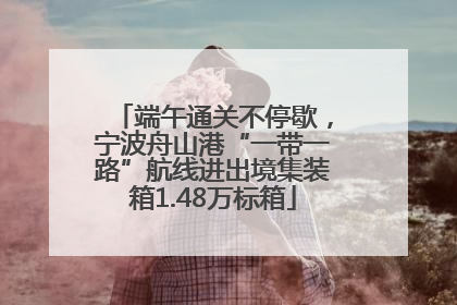 端午通关不停歇，宁波舟山港“一带一路”航线进出境集装箱1.48万标箱