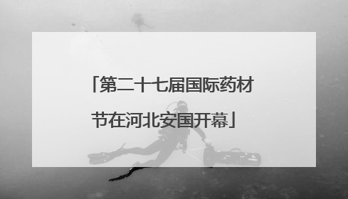 第二十七届国际药材节在河北安国开幕
