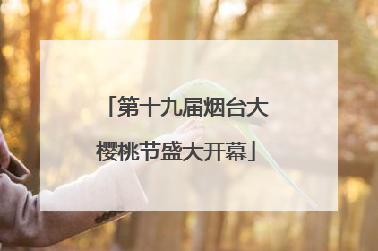 第十九届烟台大樱桃节盛大开幕