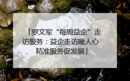 罗文军“每周益企”走访服务：益企走访暖人心 精准服务促发展